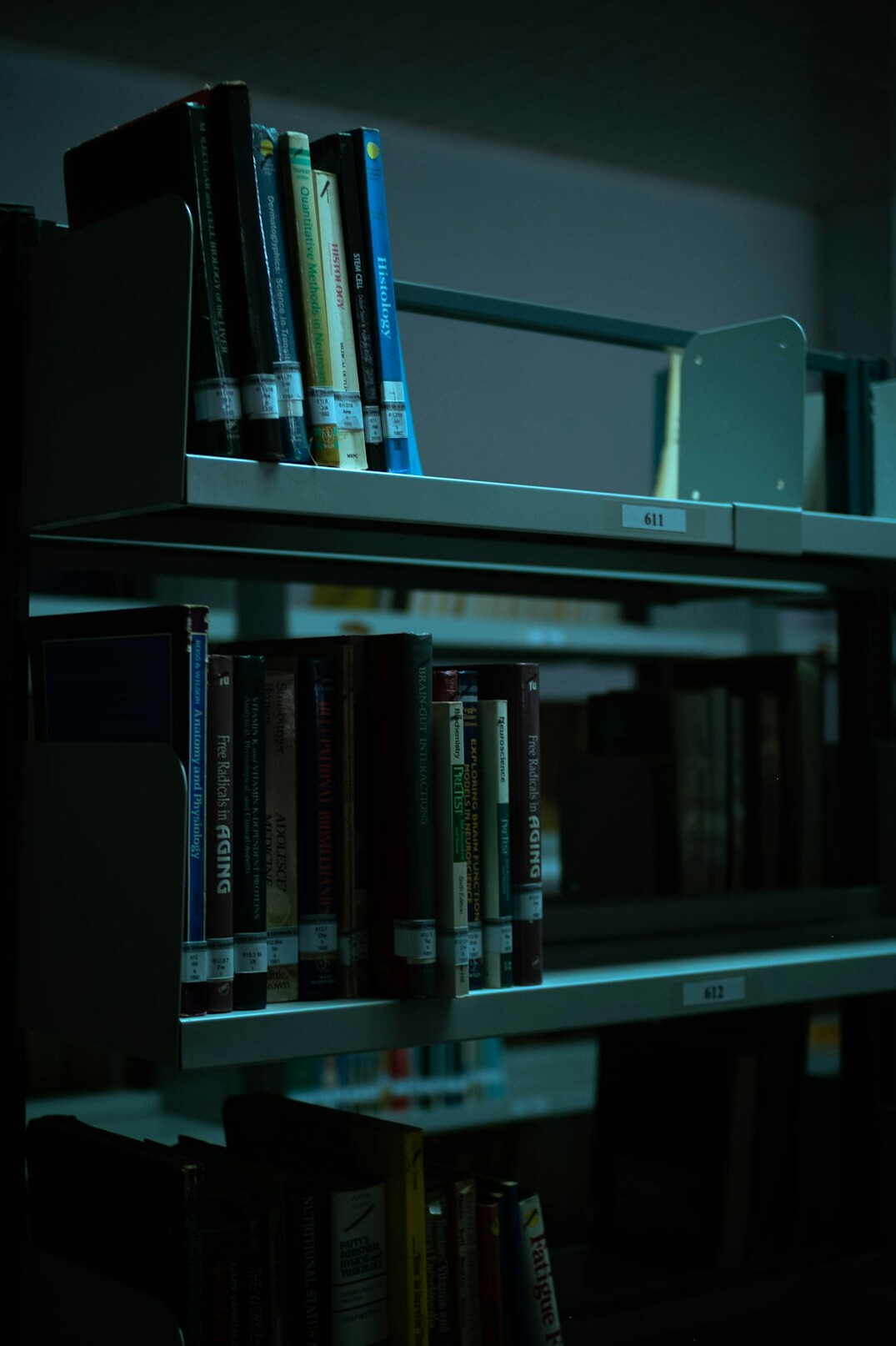 Wall of old books on dark wooden archive shelves